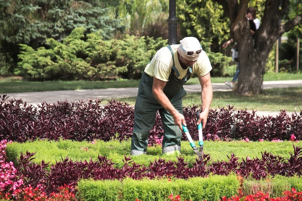 Grounds maintenance worker